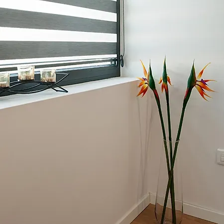College Flat